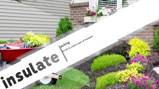 Fall Landscaping Enhancement Ideas