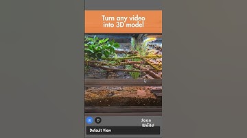 🪲 3D Scan Your Dream Reptile Tank 🪲 #ScantheWorld #3DScanning #ReptileTank #RetailInnovation #3dgs