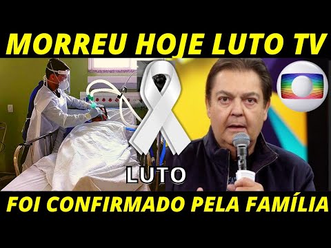 Vídeo: Esta Família De Refugiados Se Separou De Seu Gato. O Que Aconteceu Depois é Incrível. - Rede Matador