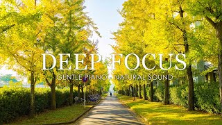 Deep Focus Music To Improve Concentration - 12 Hours of Ambient Study Music to Concentrate