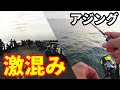【アジング】激混み堤防でデイアジングしてみた【東京湾奥】