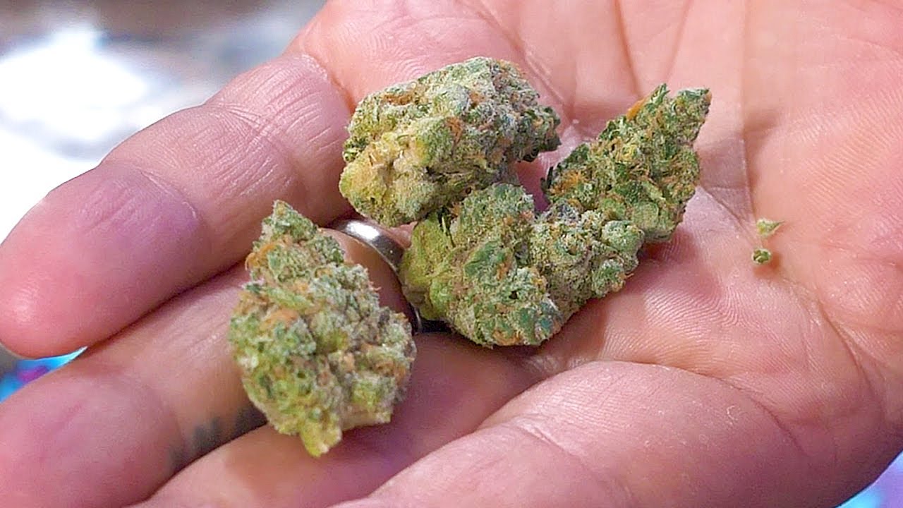 I Almost Didn’t Review This! See Why Leafology Surprised Me