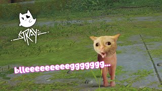 Stray - Nyanners Noises Pack Mod