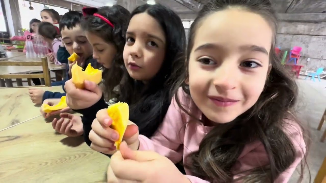 Դդմահամտես