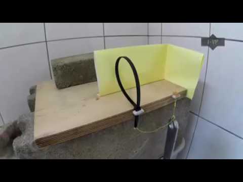 Terjebak , tikus ini ngeri Terjebak , tikus ini ngeri