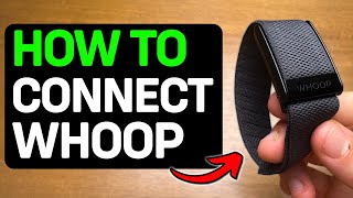 How To Connect Whoop To iPhone 2026 - Full Guide