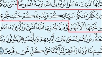 66- سورة التحريم بصوت القارئ الشيخ سعود الشريم. Surat Al-Tahreem - Saud Al-Shreem