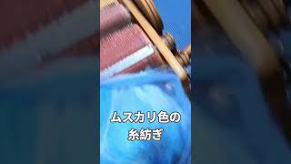 ムスカリ色の糸紡ぎ#ドラムカーダー#電動紡ぎ車#メリノ羊毛 #手紡ぎ