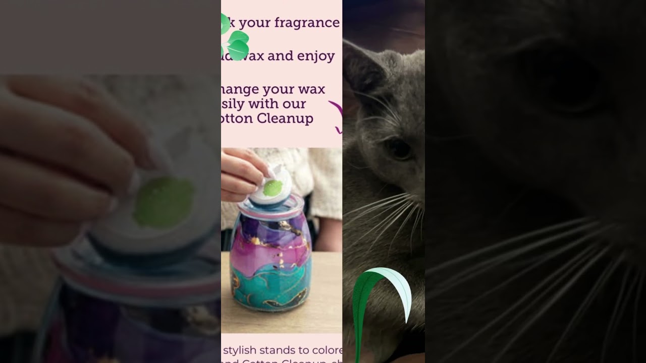 Scentsy Cat Home Comfort YouTube