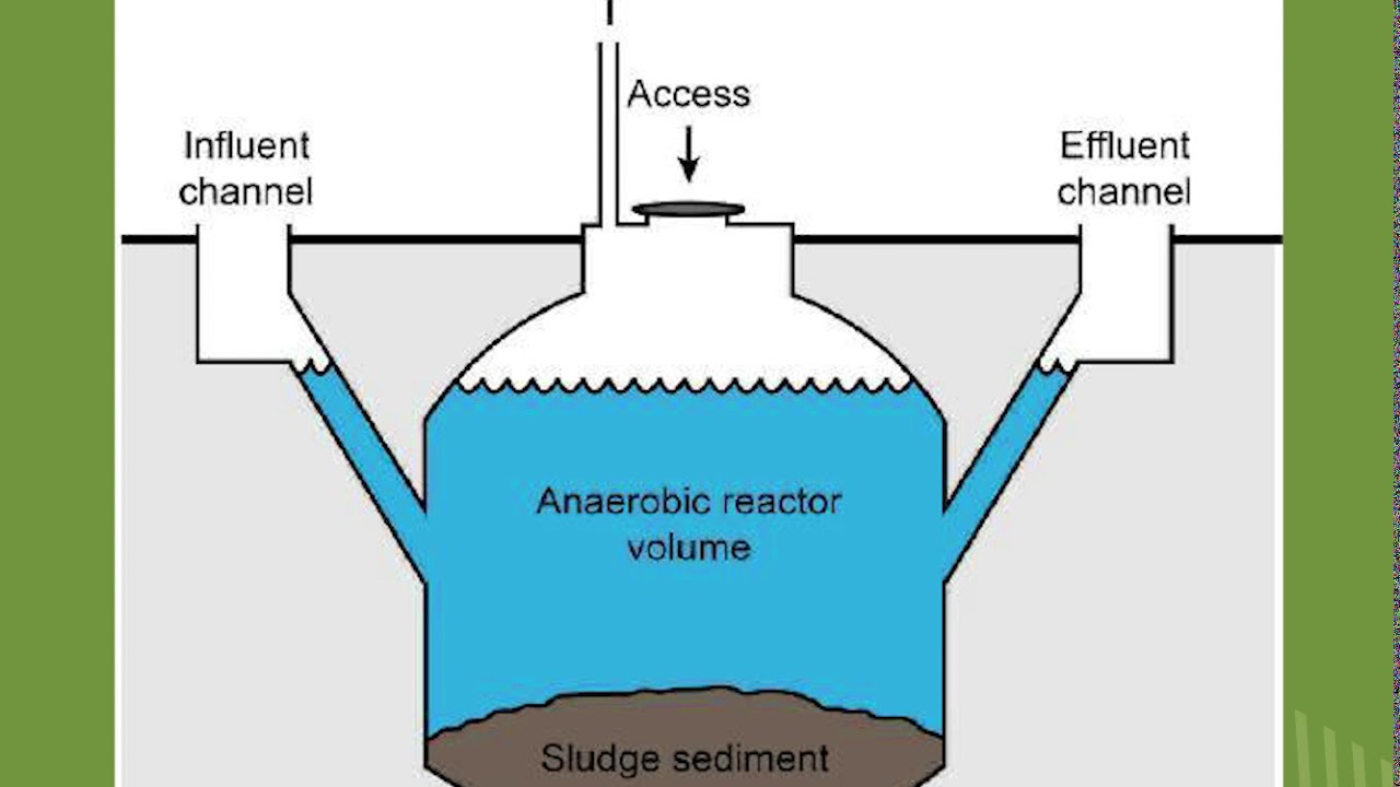 محاضرة الزراعة العضوية الحادية عشر تقديم د.محمد عتمان - الجزء 1