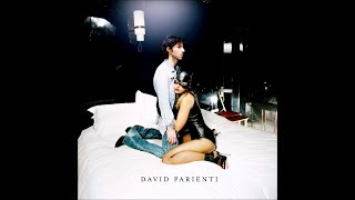 David Parienti - Je déteins, tu déteins