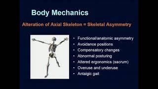 Living with chordoma: Pain management: 2017 Chordoma Community Conference