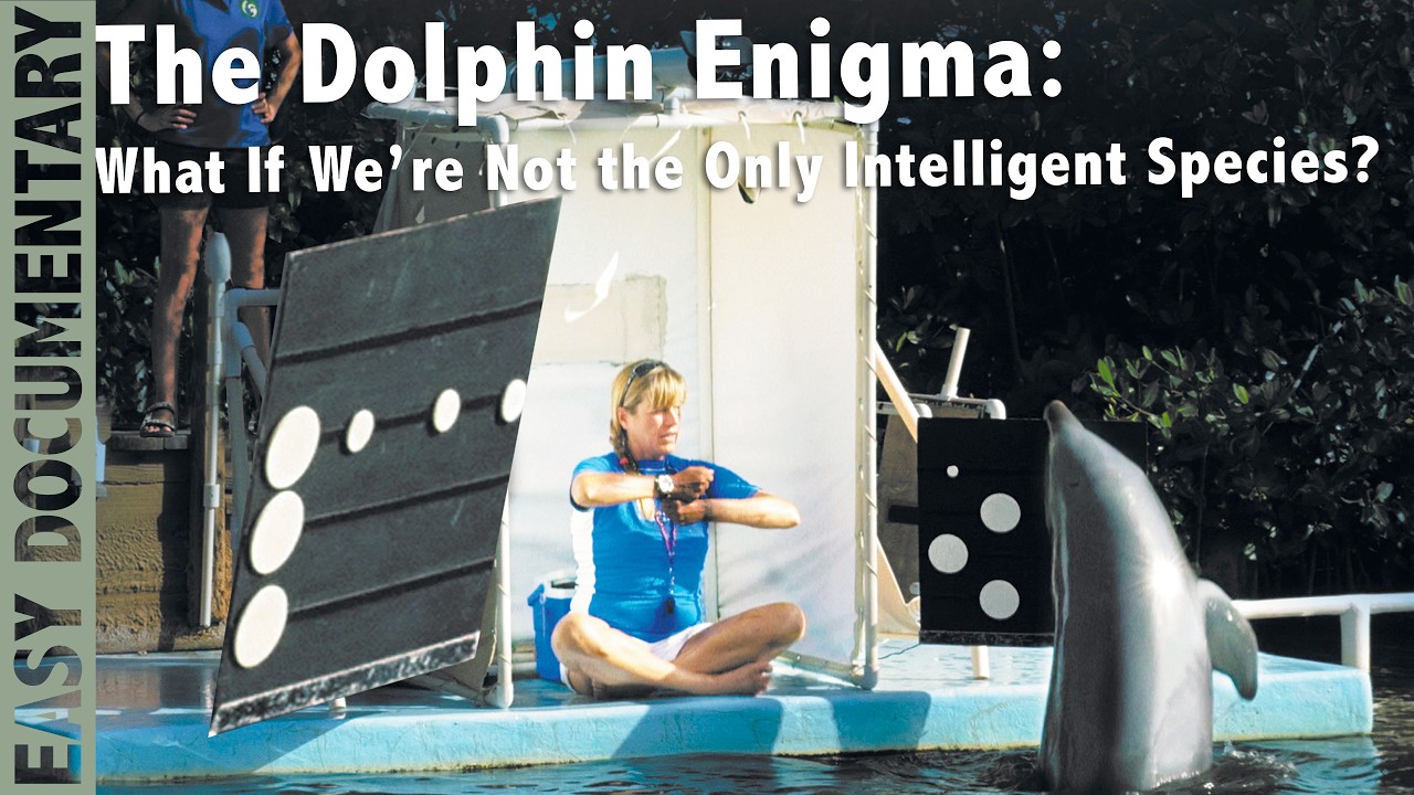 The Dolphin Enigma: What If We’re Not the Only Intelligent Species? - Full Documentary