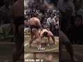 Всё кончилось за секунду⚡#japan #япония #юмор #sumo #mma #sports #ufc #спорт #wwe #сумо #fight