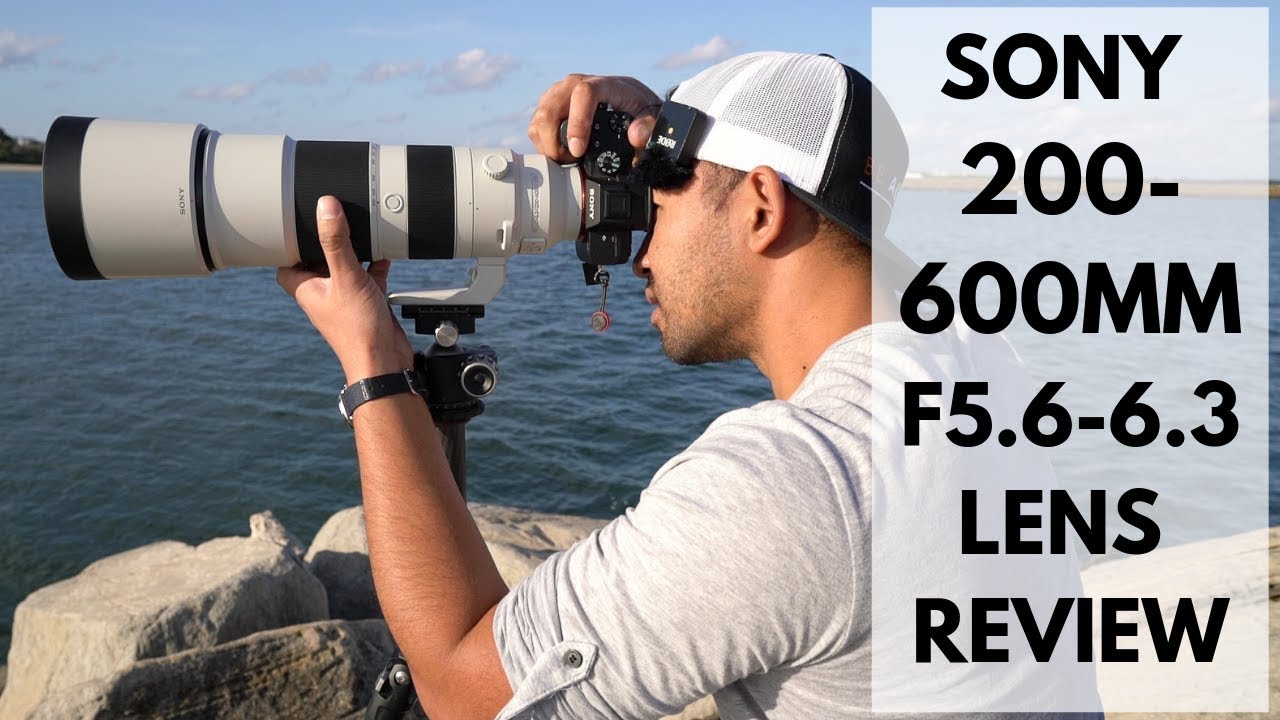 Review: Sony 200-600mm f5.6-6.3 G OSS Super Telephoto (Sony FE)