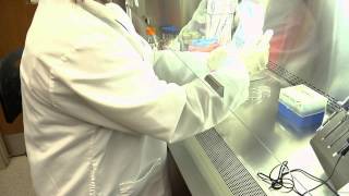 Cell Culture Basics 01: Use of 70 % Ethanol and PPE
