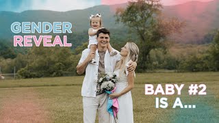 OFFICIAL GENDER REVEAL!! BABY CLARK IS A… by Travis and Katie 149,776 views 4 days ago 13 minutes, 11 seconds