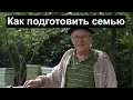 Пасека#139 Почему забрал матку в Августе? Риск ?Но оправданный- Пчеловодство для начинающих