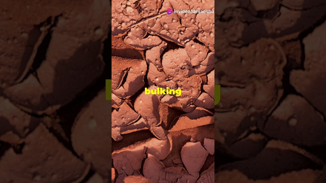 Meristematic tissue details...