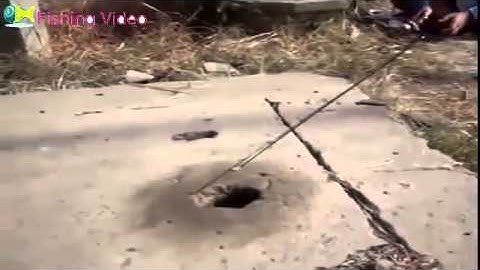 Câu cá quá đỉnh qua một cái lỗ cống, Fishing Video