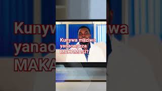 KUNYWA MAZIWA HUONGEZA MAKAMASI