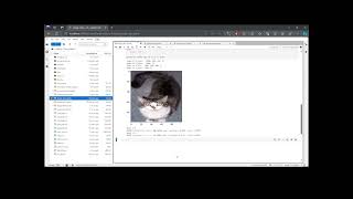 (Part1) A convolutional neural network for image object classification using Keras