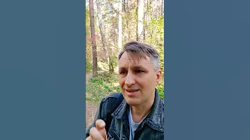 Если кот кушает вискас и хорошо себя чувствует, то и моей кошке корм подойдёт?