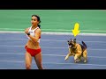 Most Funny Moments in Sports!
