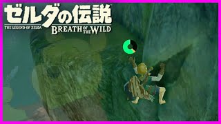 崖を登る時にふざけてはいけない『ゼルダの伝説 ブレス オブ ザ ワイルド』#2