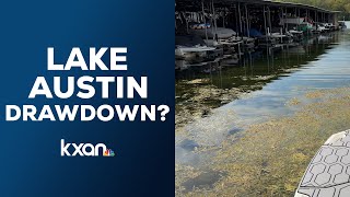 Lake Austin drawdown discussions continue after 2,000 grass carp enter water