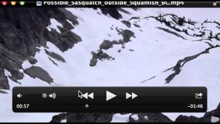 Possible Sasquatch outside Squamish BC Breakdown