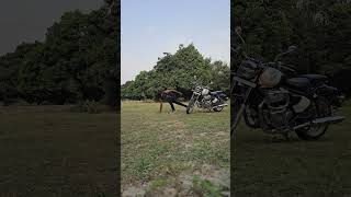 workout classic 650 #lucknow #bikes #continentalgt650 #explore #royalenfield #workout