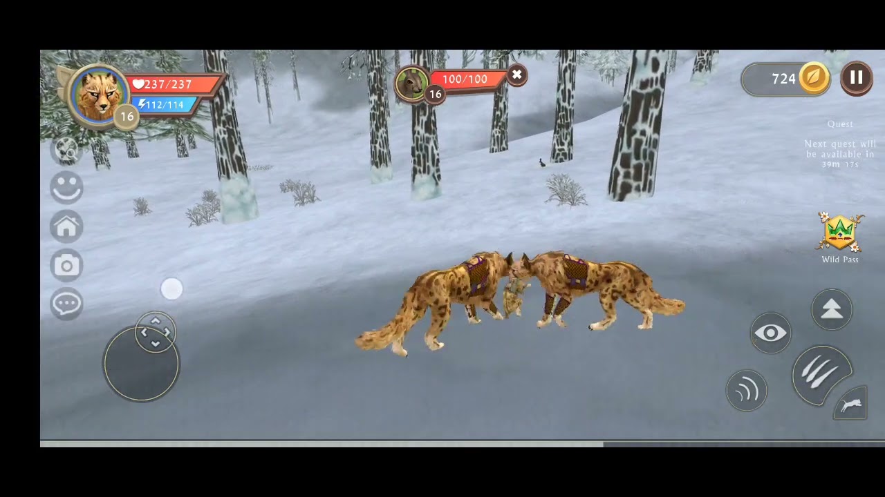 wildcraft the mysterious cheetahs (brother sister and brother)