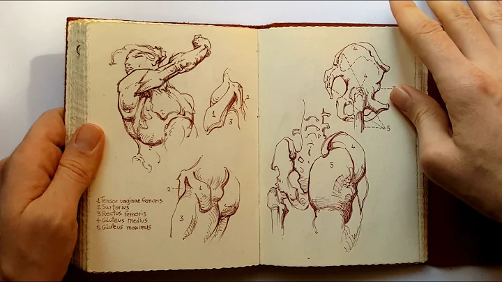 Sketchbook: Constructive Anatomy George Bridgman