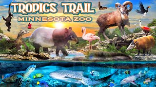 Zoo Tours: Tropics Trails | Minnesota Zoo