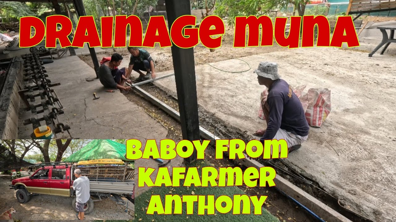 Ginawa na muna nila ang kanal sa may lechunan | dumating ang baboy na matagal ng hinintay