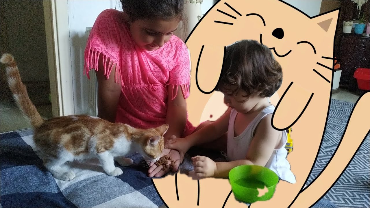 Kediye Mama Yediriyoruz Su İçiriyoruz🐈Bu Kedi Çok Tatlı ve Çok Sevimli