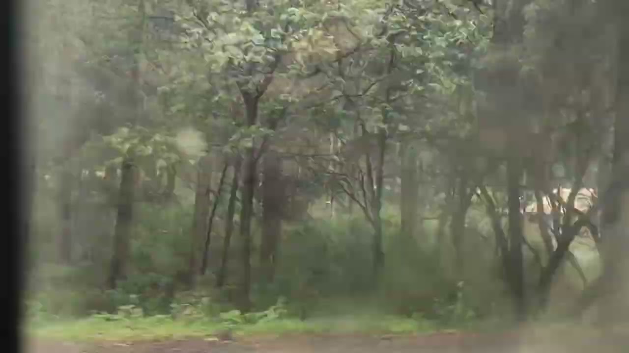 Carretera La marquesa-Santiago Tianguistenco