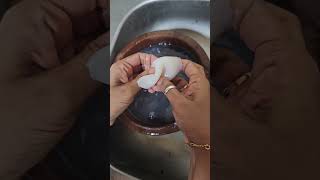 Squid Fish Cutting ,