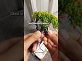 Headset Jete Suara Bass Jernih #headset #earphone #headsetreview #jete #headsetmurah #reviewproduk
