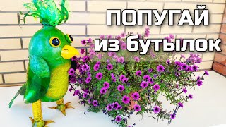 How to make a parrot from plastic bottles for garden decor