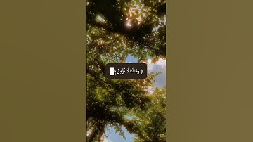 سورة المائدة #سعود_الشريم #quran #قرآن