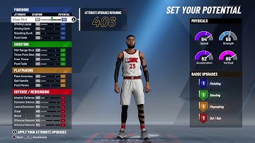 BEST PERIMETER LOCKDOWN BUILD NBA2K20