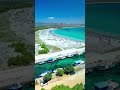 PortoPino
