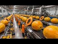 Inside a Modern Papaya Juice Factory: From Fresh Tropical Papayas to Bottled Juice (Full Process)