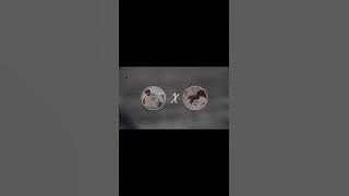 #shameonisrael by AyZ ft Ashraf Z (Prod by Shittywizardbeats)