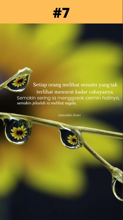 semakin jelas ia melihat segalanya || story wa keren || jalaluddin rumi