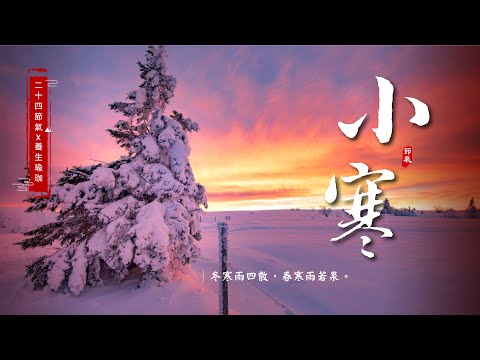 【24節氣x養生瑜珈】-適合「小寒」節氣的瑜珈體位法｜明祝老師｜#疏通膀胱經 #疏通腎經 #增強血液循環 #自然呼吸瑜珈 #瑜珈教學 ｜15 mins healthy yoga