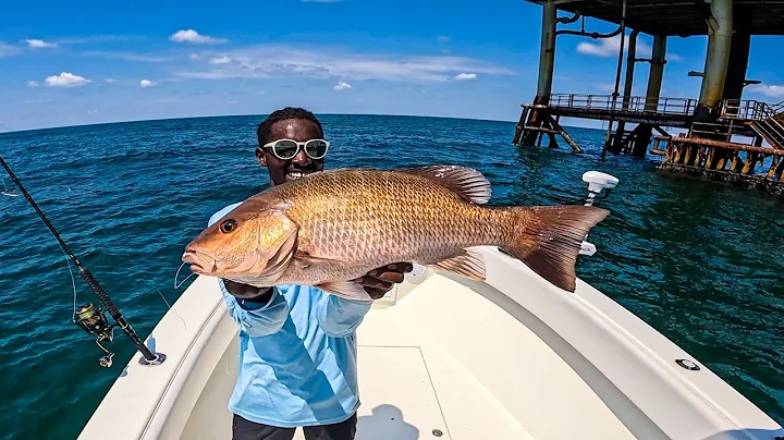 Solo Mission Chasing Monster Mangrove Snapper (Catch Clean Cook)