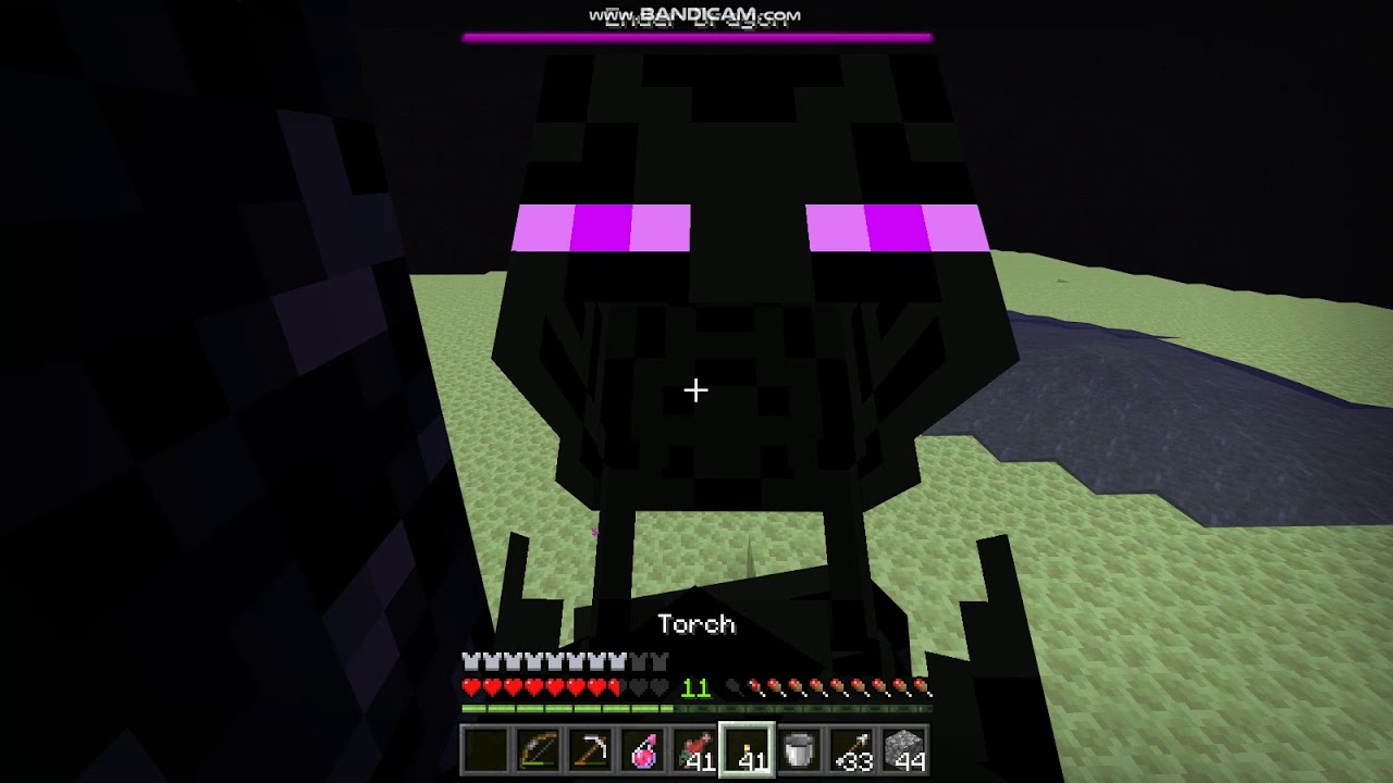 Failing to beat the Ender Dragon without using a weapon